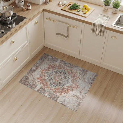 Distressed Red Medallion Vintage Area Rug