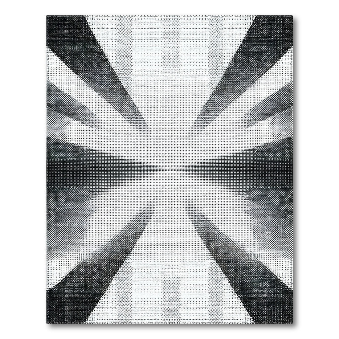 Black and White Black White Geometric Burst Area Rug