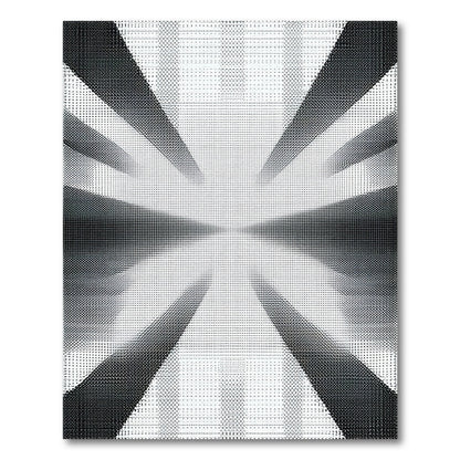 Black and White Black White Geometric Burst Area Rug