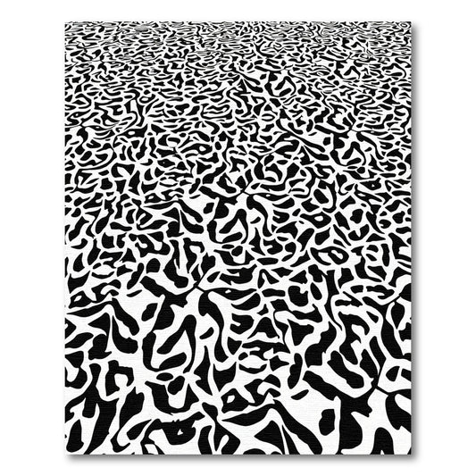 Asymmetrical Black White Organic Flow Rug