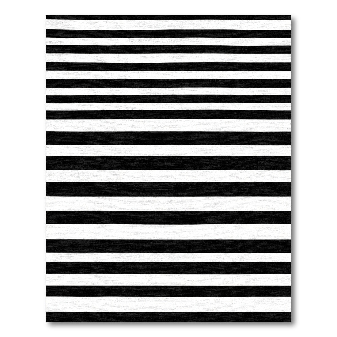Monochromatic Black White Stripe Rug