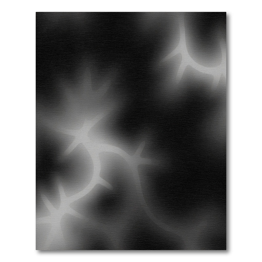 Abstract Black White Organic Swirl Rug