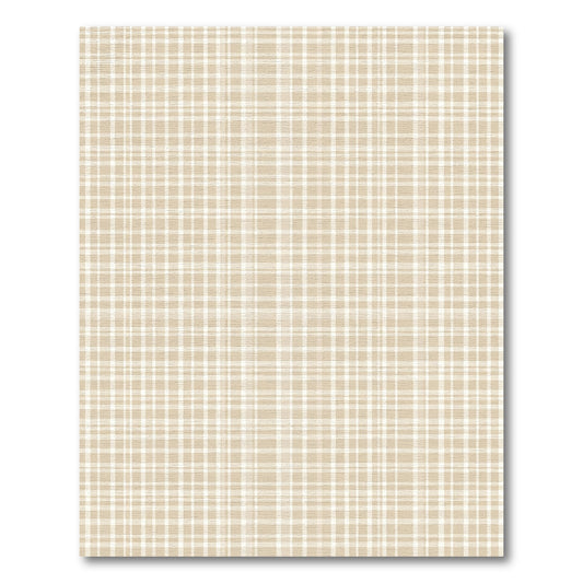 Earthy Tone Traditional Plaid Rug