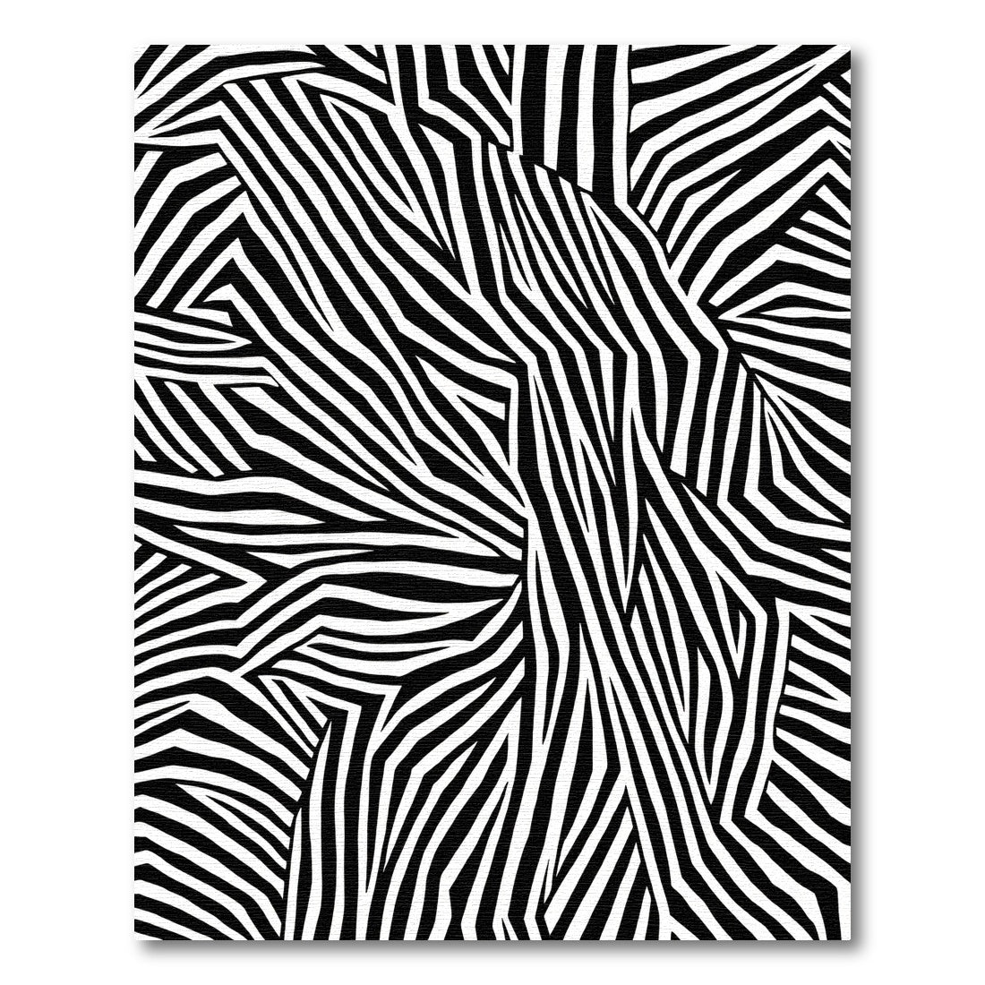 Abstract Black White Zebra Stripes Rug