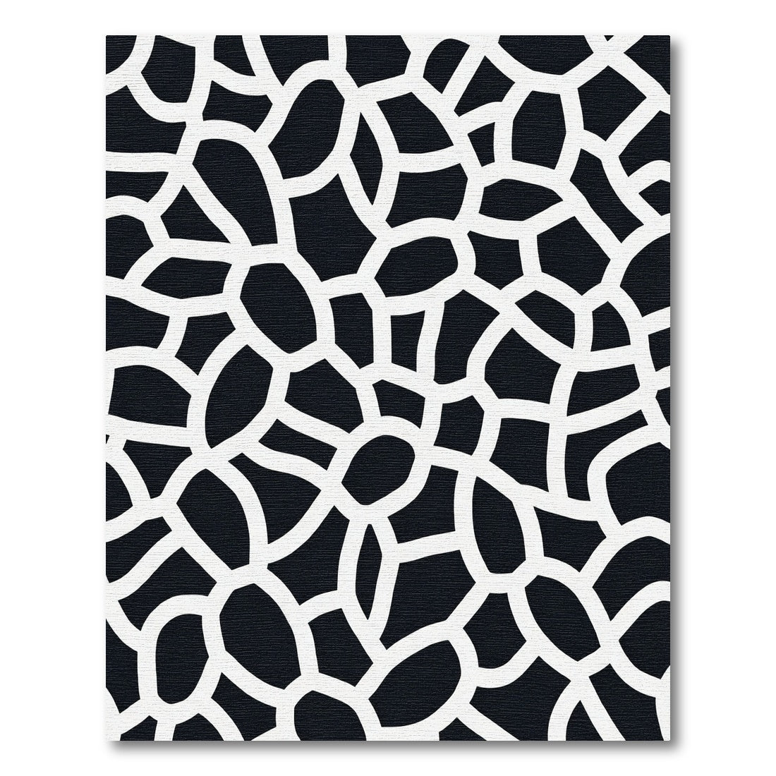 Organic Black White Irregular Network Rug