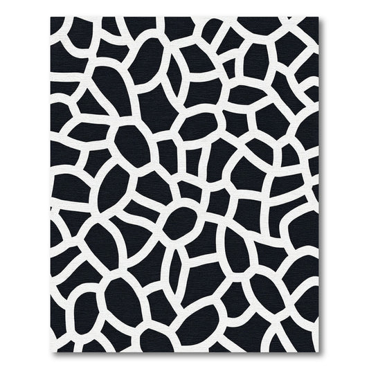 Organic Black White Irregular Network Rug