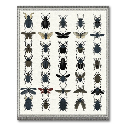 Vintage Insect Collection Graphic Art Rug