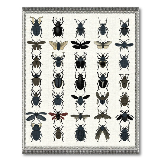 Vintage Insect Collection Graphic Art Rug