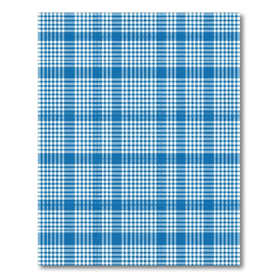Classic Blue and White Plaid Grid Rug