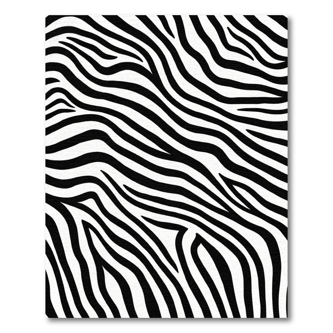 Striking Black White Zebra Stripes Rug