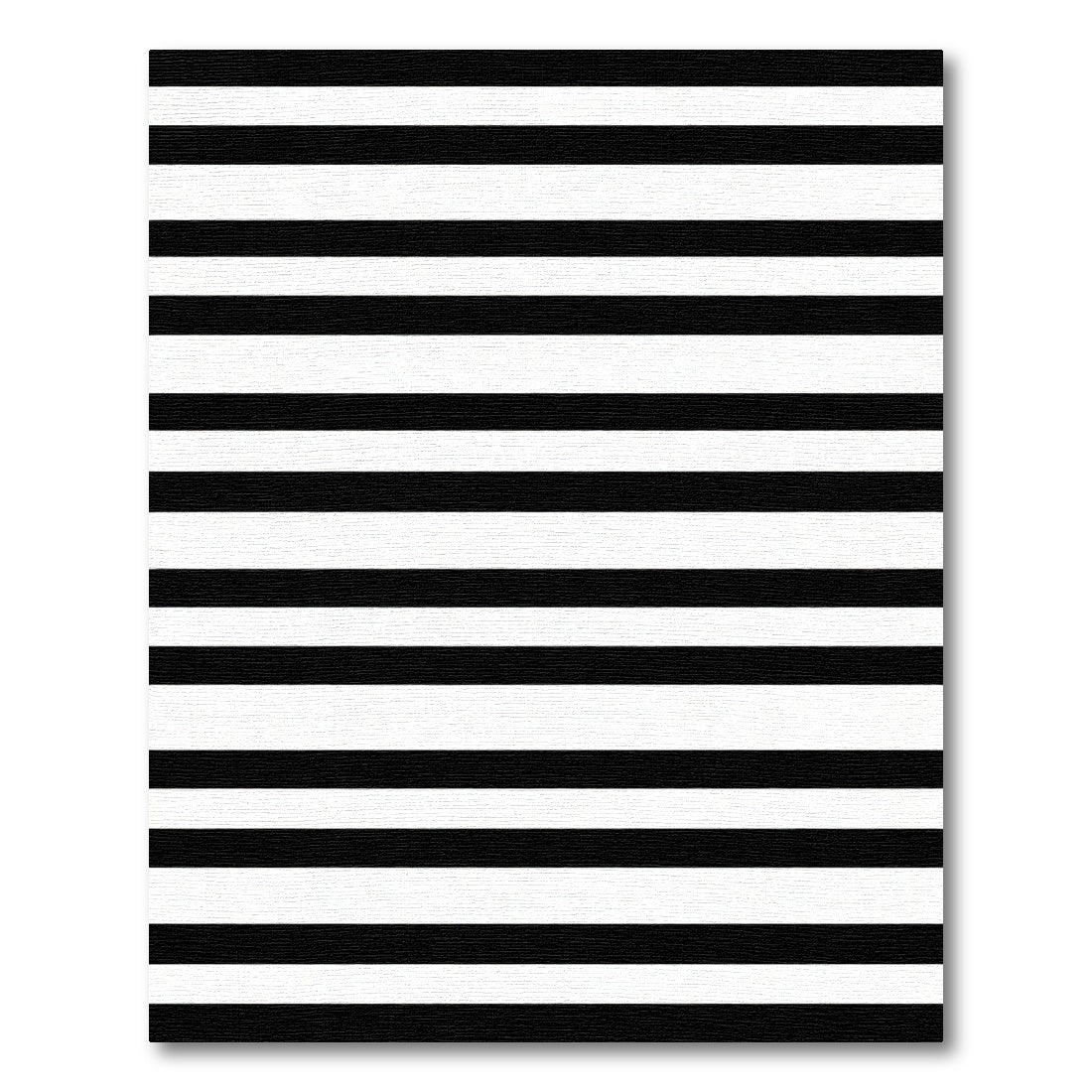 Graphic Black White Linear Bands Rug