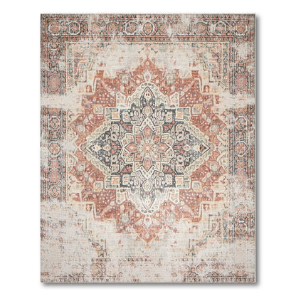 Distressed Red Medallion Vintage Area Rug